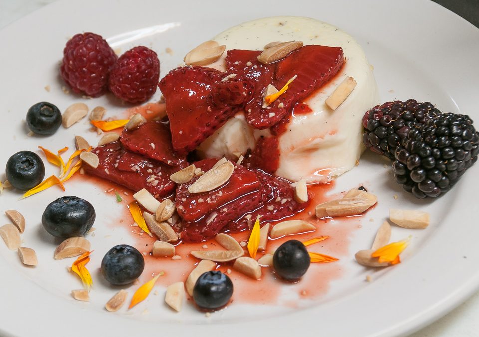 Panna Cotta